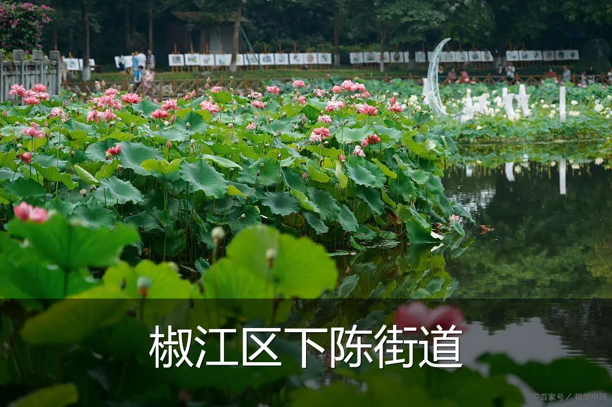 椒江区下陈街道